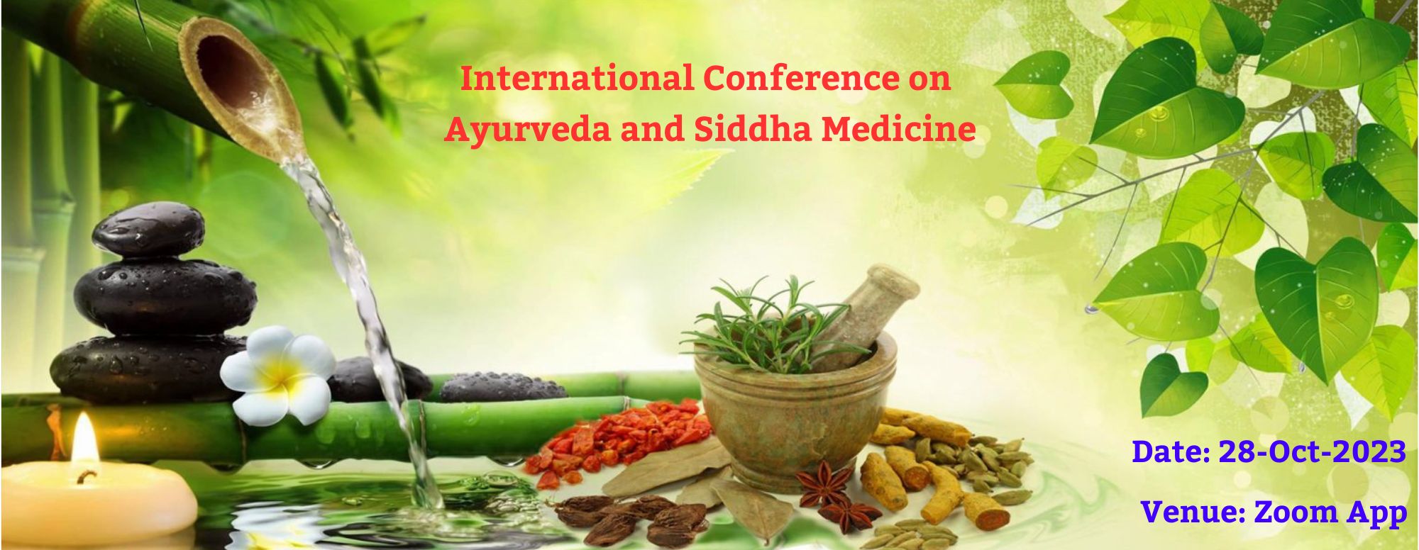 International Conference on Ayurveda and Siddha Medicine