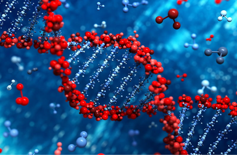 International Conference on Medical, Biological and Pharmaceutical Science