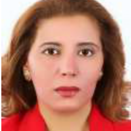 Dr. Nour Shafik Emam El-Gendy | Brainymeet Conferences